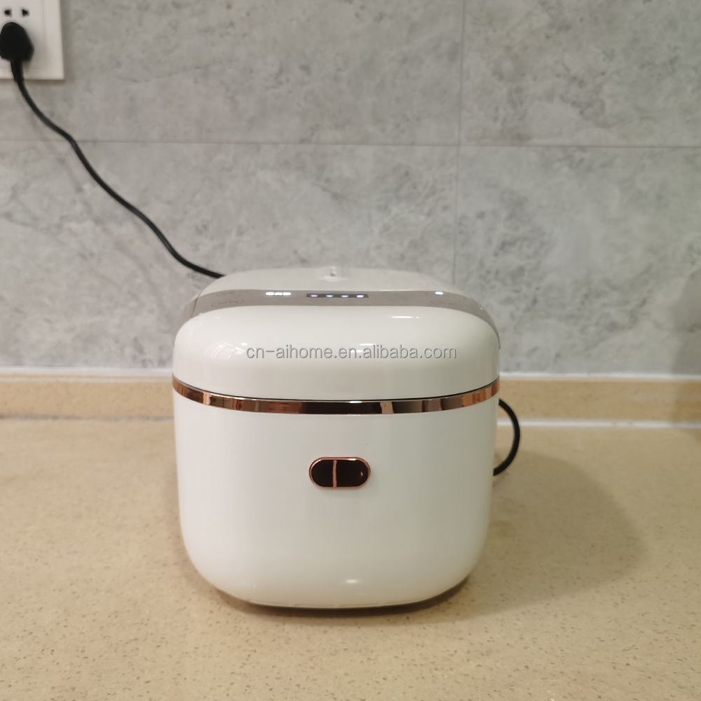 Mini Cuociriso Elettrico Porta - Japanese Camping Cooking recensione e prezzo
